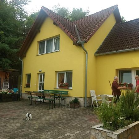 Foki Vendeghaz Villa Hidegseg Ngoại thất bức ảnh