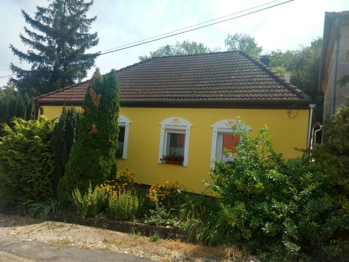 Foki Vendeghaz Villa Hidegseg Ngoại thất bức ảnh